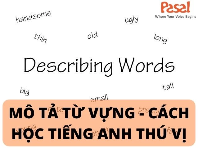 Mô tả những từ bạn chưa biết - Cách học tiếng Anh mới lạ, thú vị