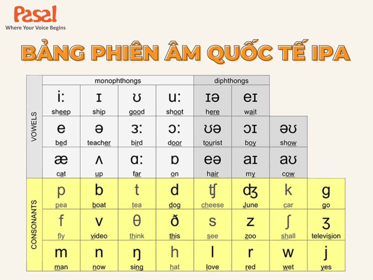 Học tiếng Anh giao tiếp cùng bảng phiên âm IPA