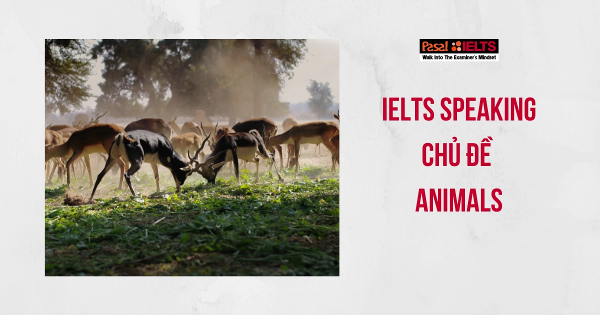 IELTS SPEAKING CHỦ ĐỀ ANIMAL: TỪ VỰNG VÀ CÂU HỎI THƯỜNG GẶP