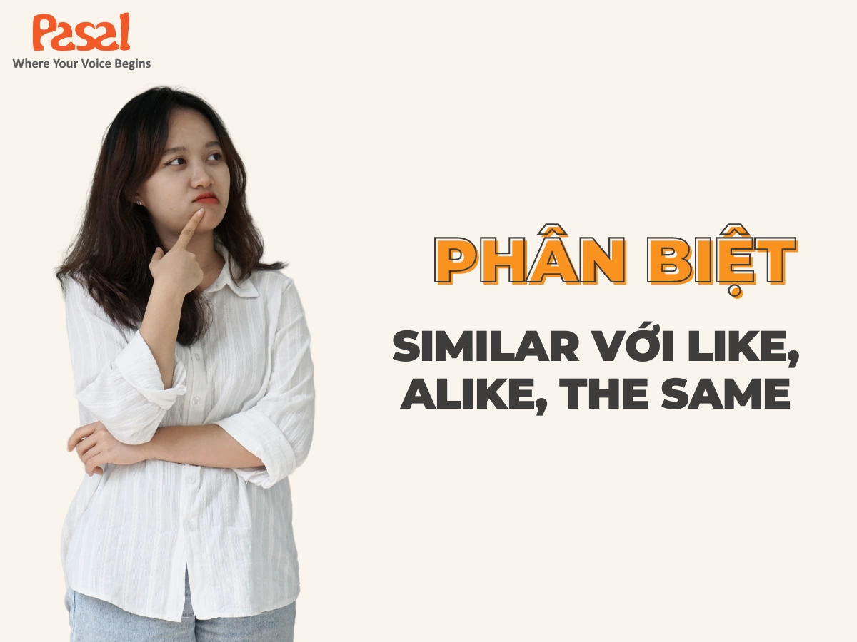 Phân biệt Similar với Like, Alike, The same