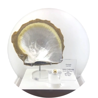 DIVERSIFYING PRECIOUS COLLECTIONS